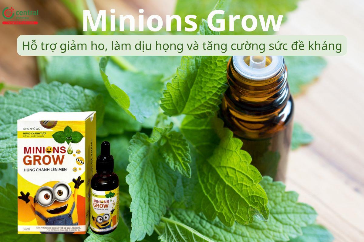 Minions Grow giúp giảm ho, dịu họng và tăng cường sức đề kháng