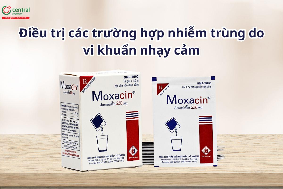 Thuốc Moxacin 250mg chỉ định điều trị nhiễm khuẩn do vi khuẩn nhạy cảm