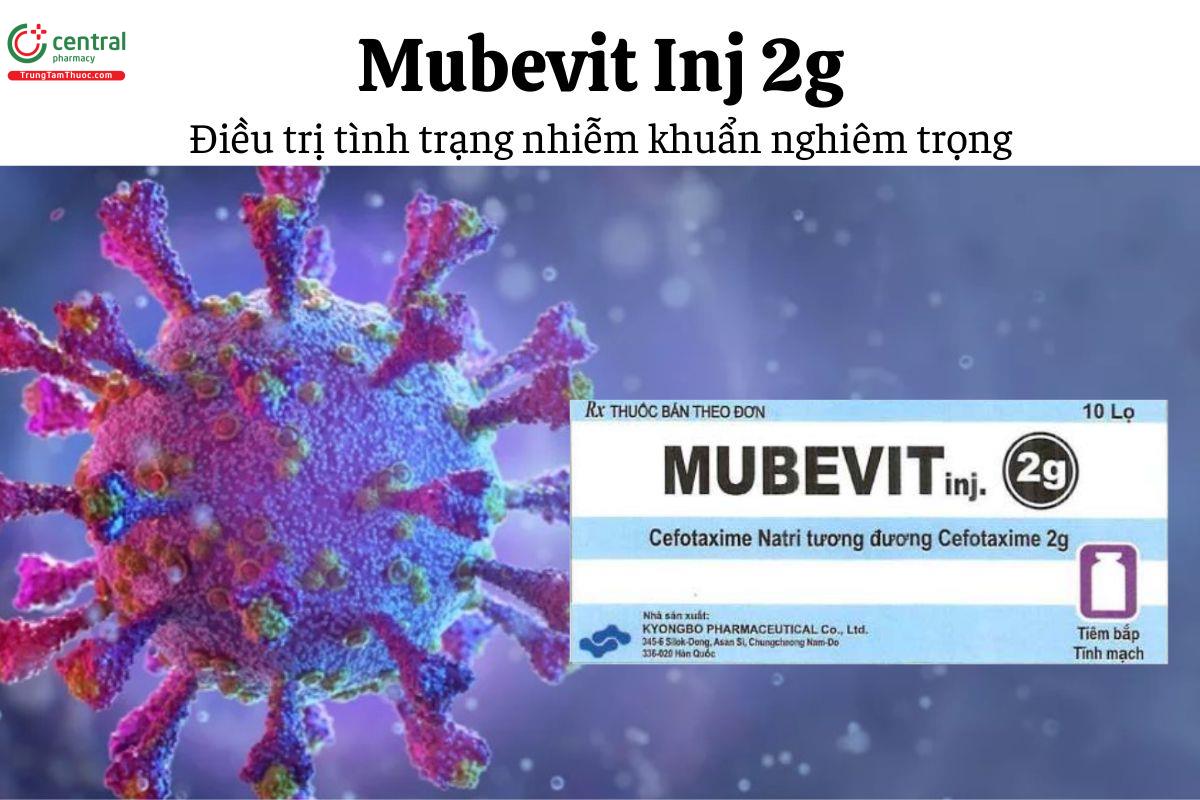 Thuốc Mubevit Inj 2g - Điều trị tình trạng nhiễm khuẩn nghiêm trọng