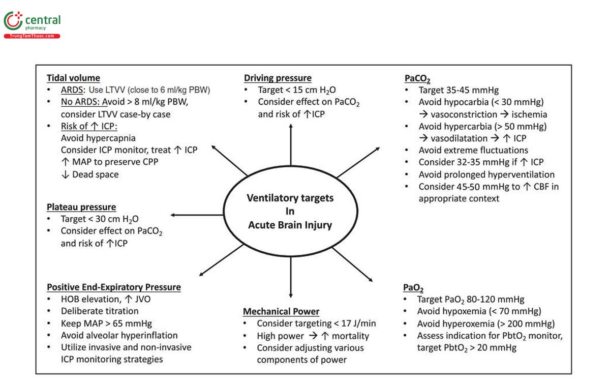 HÌNH 2. Tóm tắt mục tiêu thông khí sau chấn thương sọ não. ARDS, hội chứng suy hô hấp cấp tính; CBF, lưu lượng máu não; CPP, áp lực tưới máu não; HOB, đầu giường; ICP, áp lực nội sọ; JVO, lưu lượng tĩnh mạch cổ; LTVV, thông khí thể tích khí lưu thông thấp; MAP, huyết áp trung bình; PaCO2, áp suất riêng phần của carbon dioxide; PaO2, áp suất riêng phần của oxy; PbtO2, áp suất riêng phần của oxy mô não; PBW, trọng lượng cơ thể dự đoán.