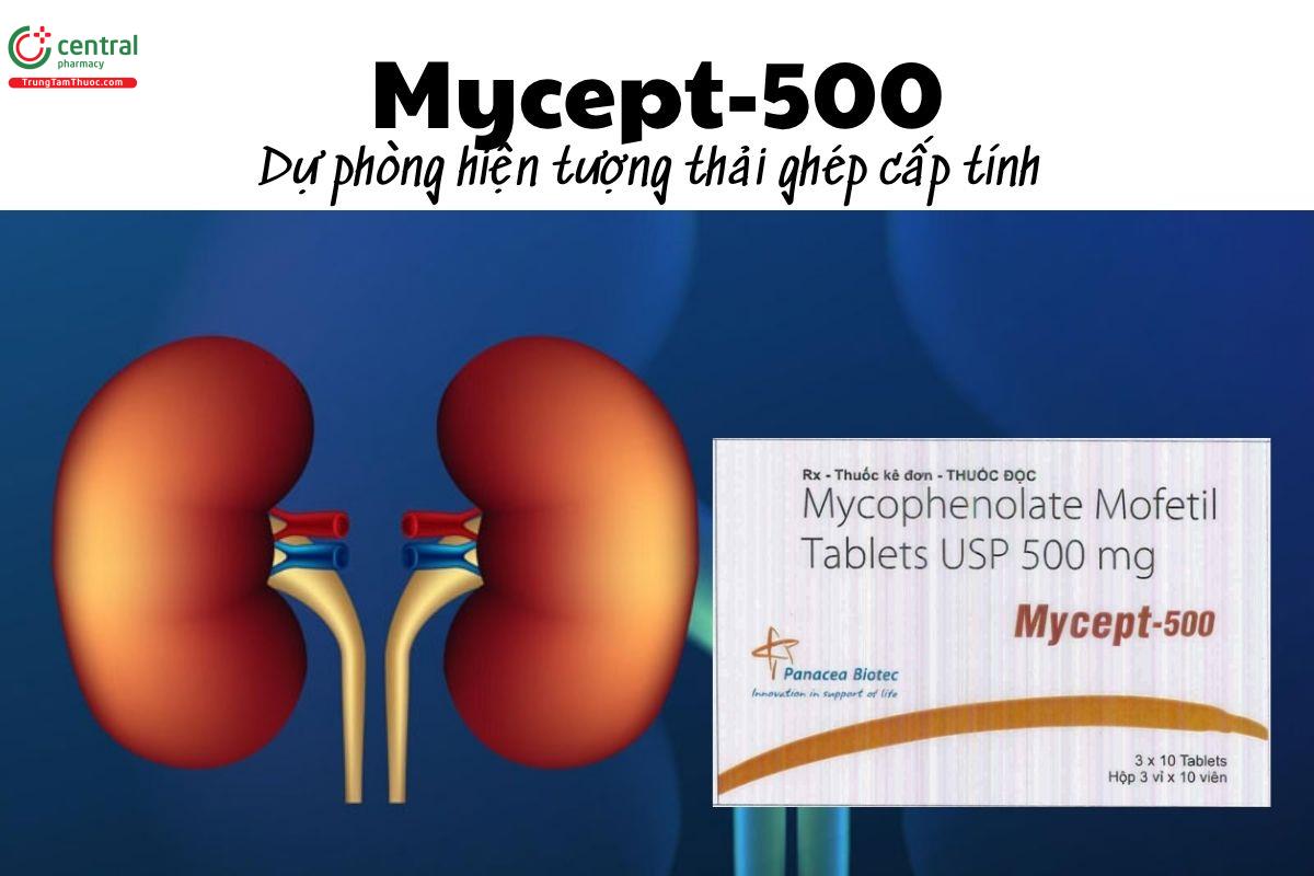 Thuốc Mycept-500 - Dự phòng hiện tượng thải ghép cấp tính 