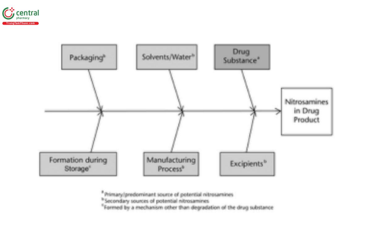 Figure 1. Potential sources of nitrosamine impurities in drug product.