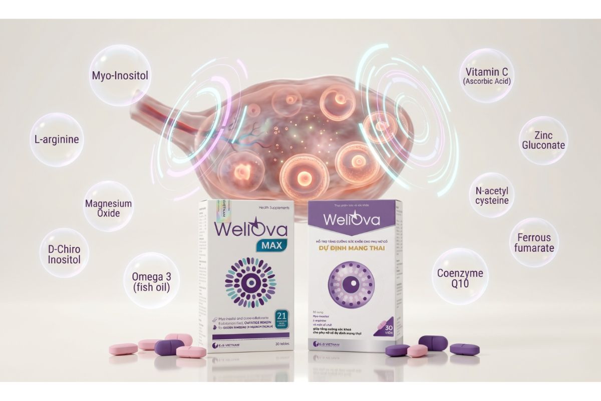 Các dưỡng chất cần thiết hỗ trợ cải thiện chất lượng trứng