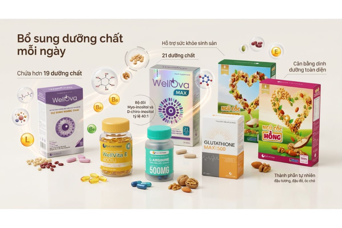 Nên bổ sung gì để cải thiện chất lượng trứng trước khi làm IVF?