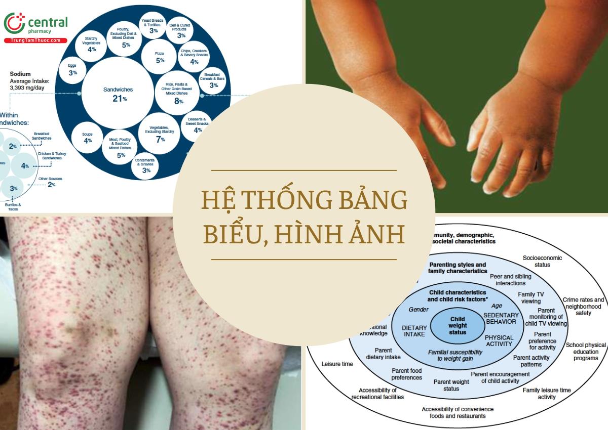 Hệ thổng bảng biểu, sơ đồ, hình ảnh trực quan, giúp người đọc dễ hình dung