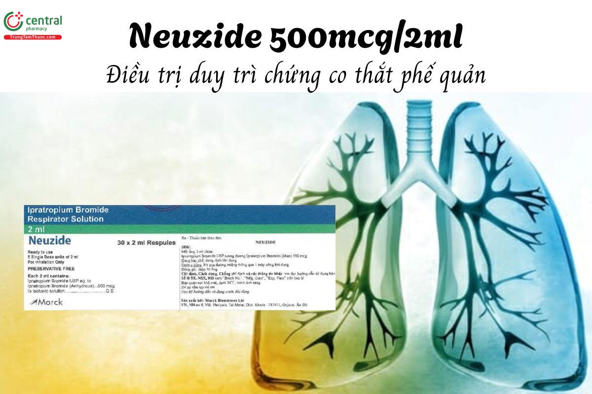 Thuốc Neuzide 500mcg/2ml - Điều trị duy trì chứng co thắt phế quản