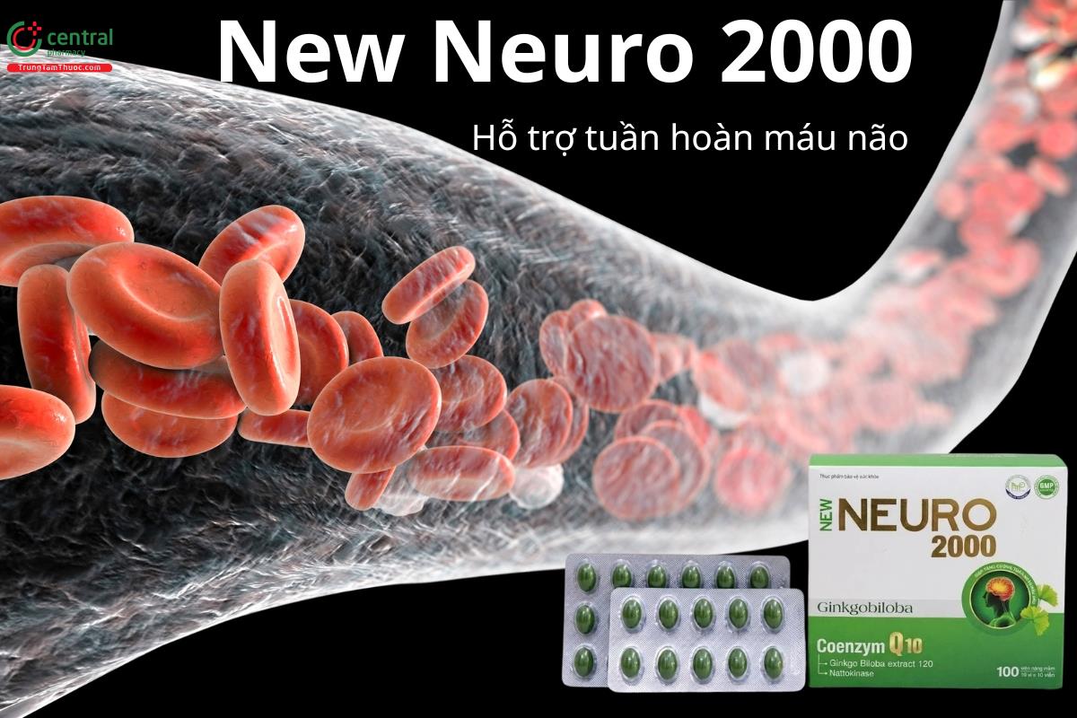 New Neuro 2000 hỗ trợ tuần hoàn máu não, cải thiện trí nhớ