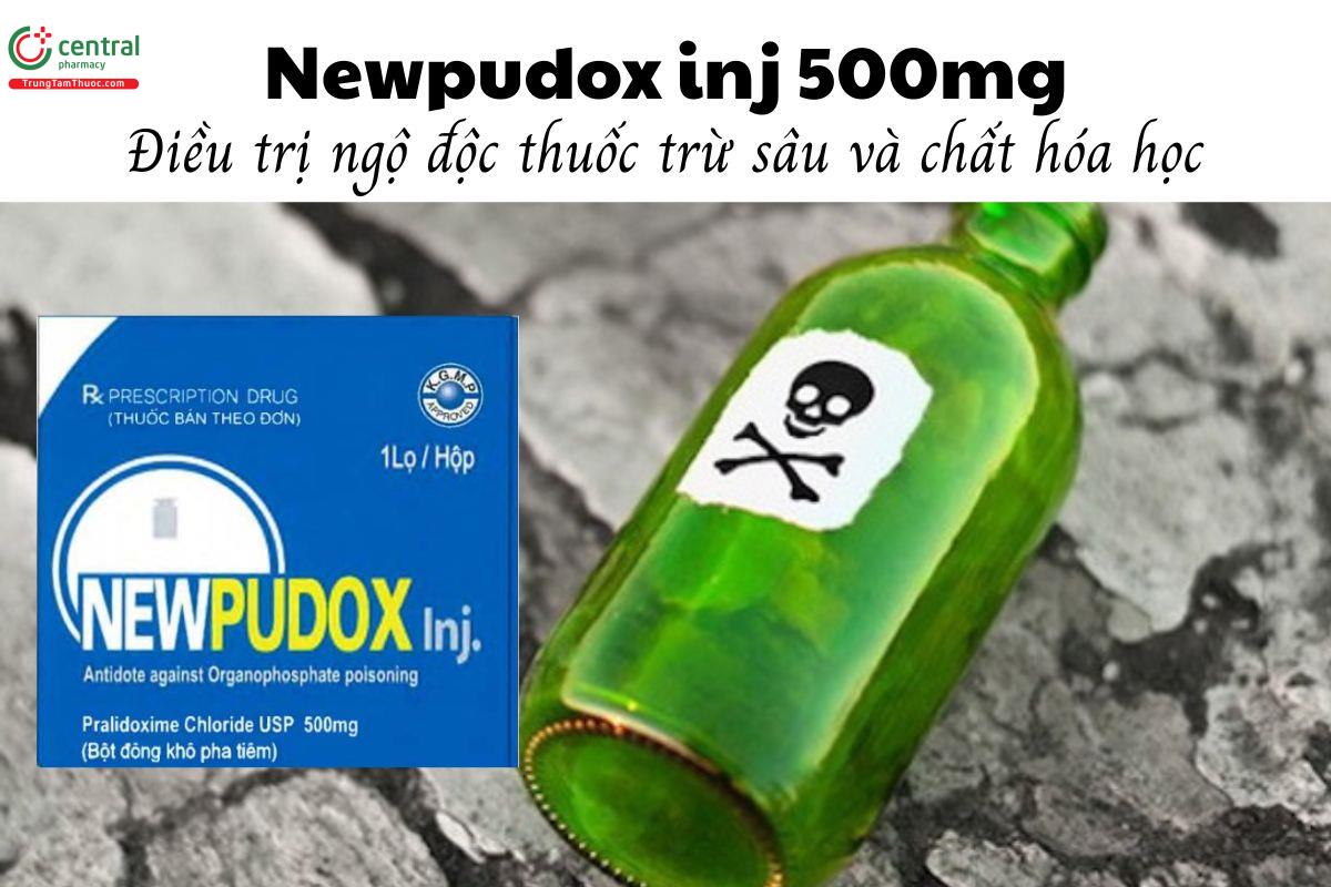 Thuốc Newpudox inj 500mg - Điều trị ngộ độc thuốc trừ sâu và chất hóa học