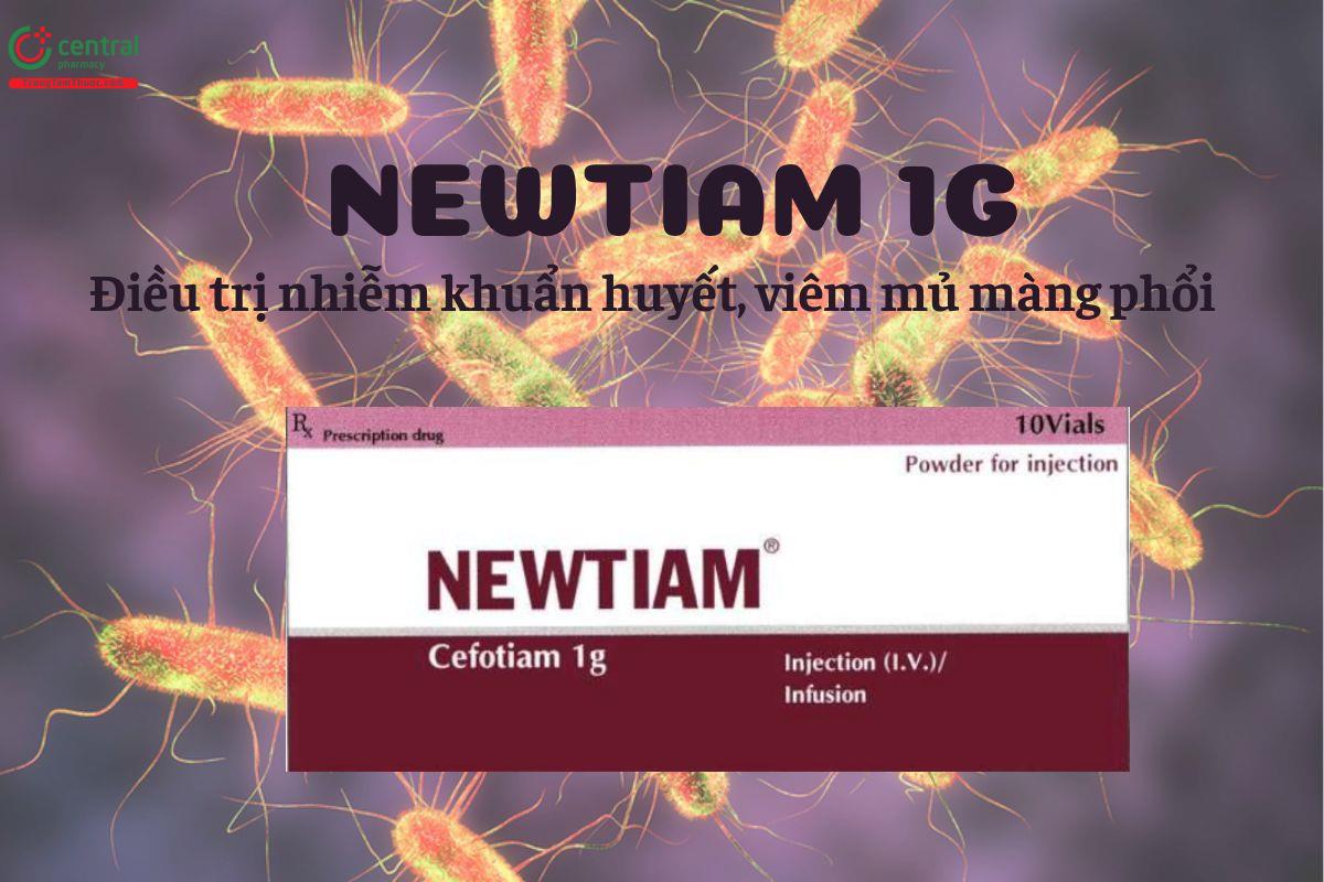 Thuốc Newtiam 1g - Điều trị nhiễm khuẩn huyết, viêm mủ màng phổi