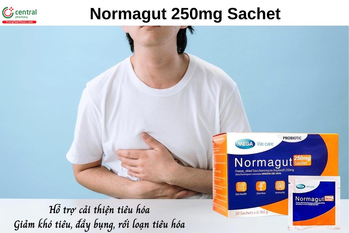 Normagut 250mg Sachet chứa Saccharomyces boulardii hỗ trợ cải thiện hoạt động tiêu hóa, giúp làm giảm các triệu chứng khó tiêu, đầy bụng và rối loạn tiêu hóa