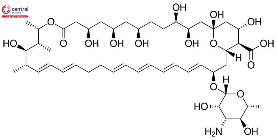 Hình ảnh công thức cấu tạo của Nystatin