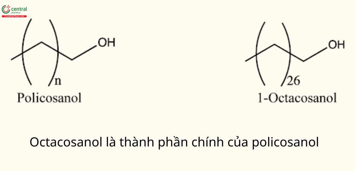 Octacosanol là thành phần chính của policosanol