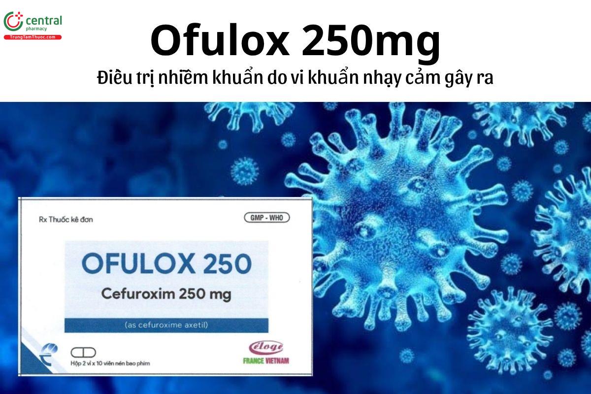 Thuốc Ofulox 250mg - Điều trị nhiễm khuẩn do vi khuẩn nhạy cảm gây ra