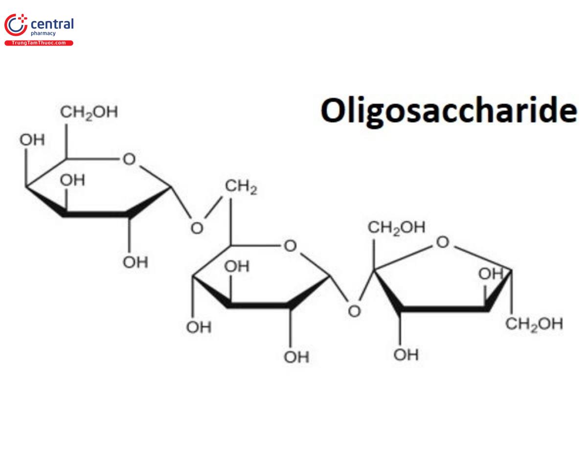 Cấu trúc nhỏ nhất của Oligosaccharide