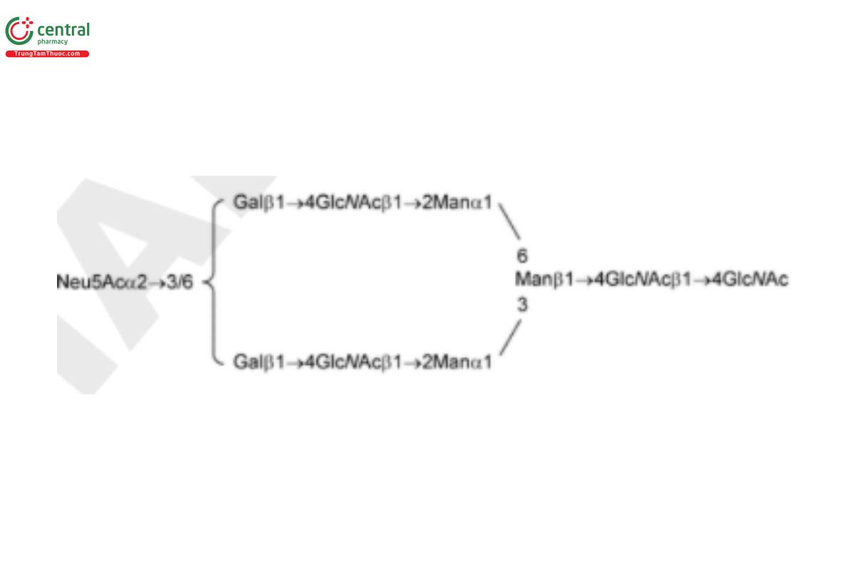 Oligosaccharide-Analysis-14