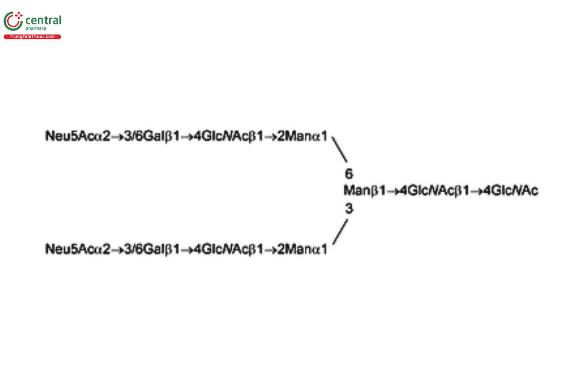 Oligosaccharide-Analysis-15