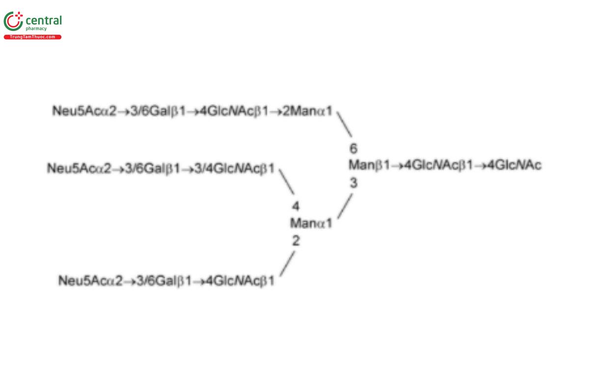 Oligosaccharide-Analysis-16