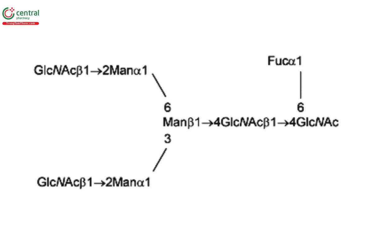 Oligosaccharide-Analysis-2