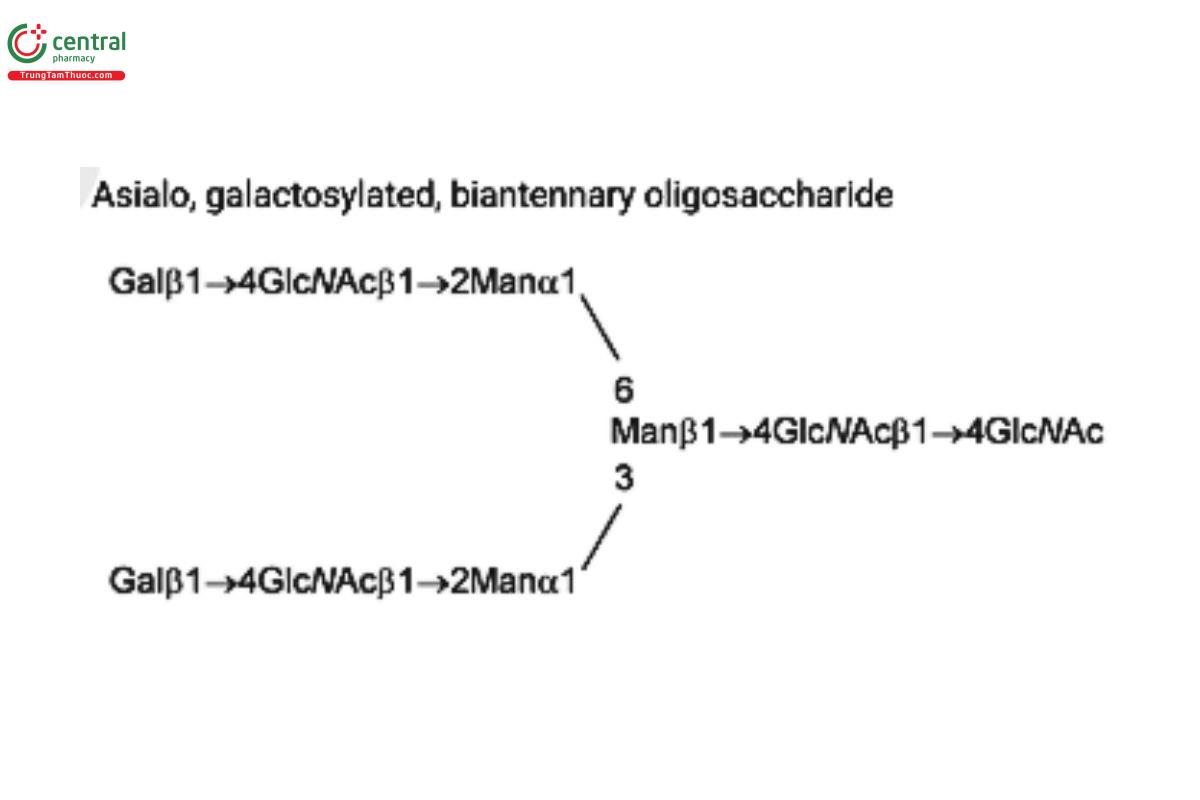 Oligosaccharide-Analysis-5