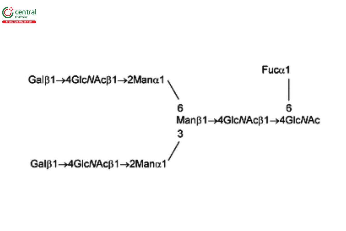 Oligosaccharide-Analysis-6