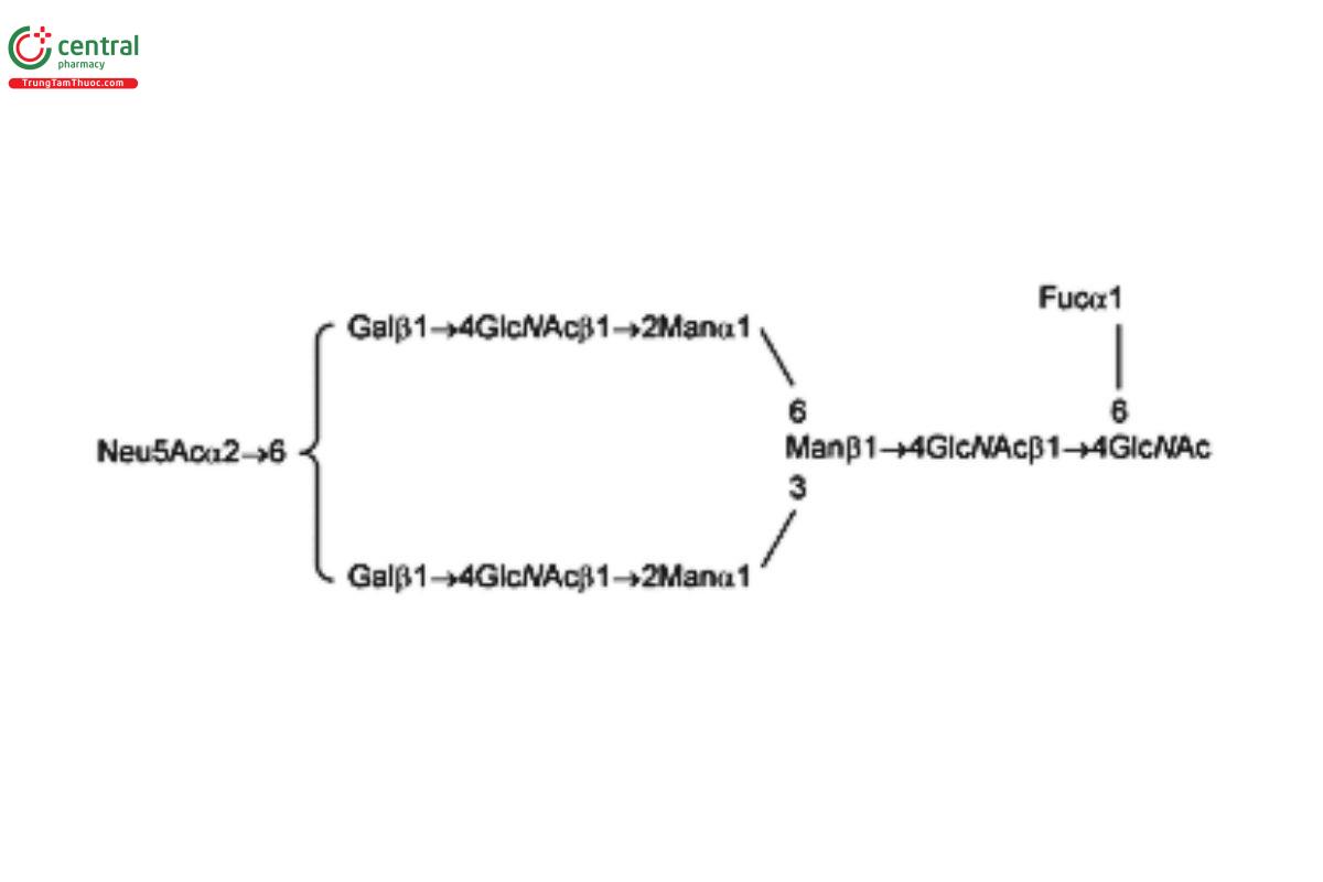 Oligosaccharide-Analysis-7