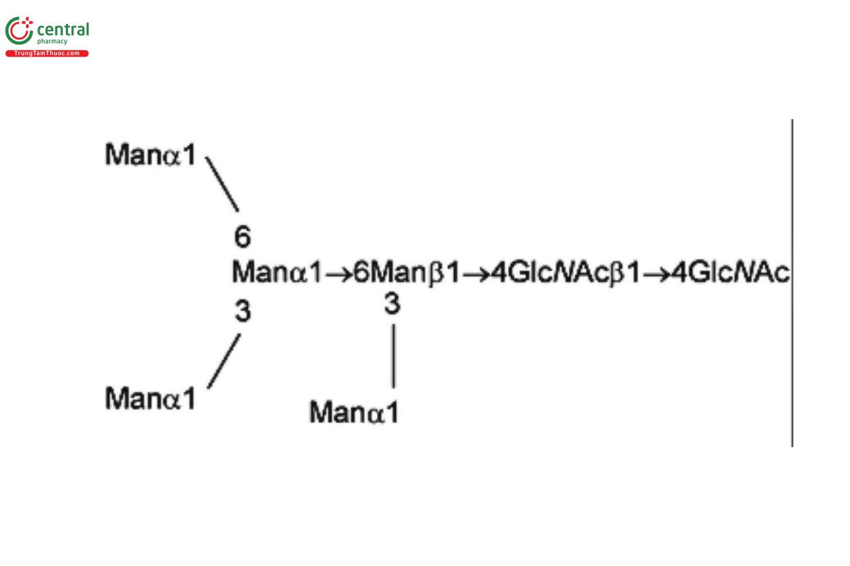 Oligosaccharide-Analysis-9