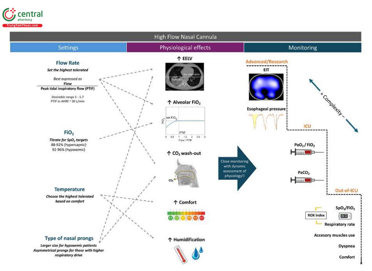 Hình 1 Cách tiếp cận đa chiều trong việc thiết lập và theo dõi liệu pháp điều trị bằng ống thông mũi lưu lượng cao (HFNC) cho bệnh nhân suy hô hấp cấp tính. AHRF: Suy hô hấp thiếu oxy cấp tính; EELV: thể tích phối cuối thì thở ra; FiO2: tỷ lệ oxy hít vào; CO2: cacbon dioxide; EIT: chụp cắt lớp trở kháng điện; PaO2: áp suất riêng phần của oxy trong máu động mạch; PaCO2: áp suất riêng phần của CO2 trong máu động mạch; SpO2: đo độ bão hòa oxy mạch nẩy