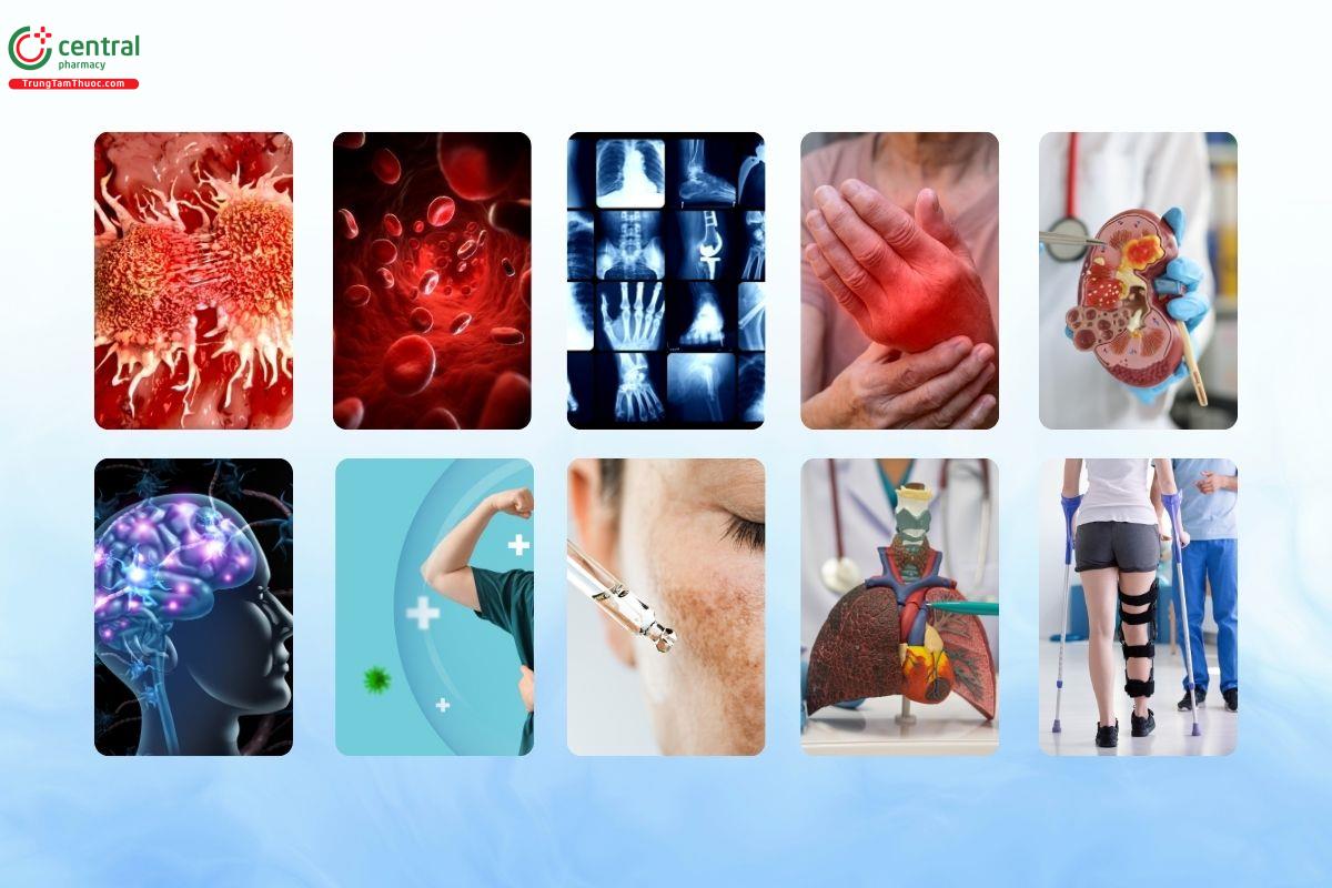 Danh mục điều trị của Onko Ilac trải rộng trên nhiều chuyên khoa