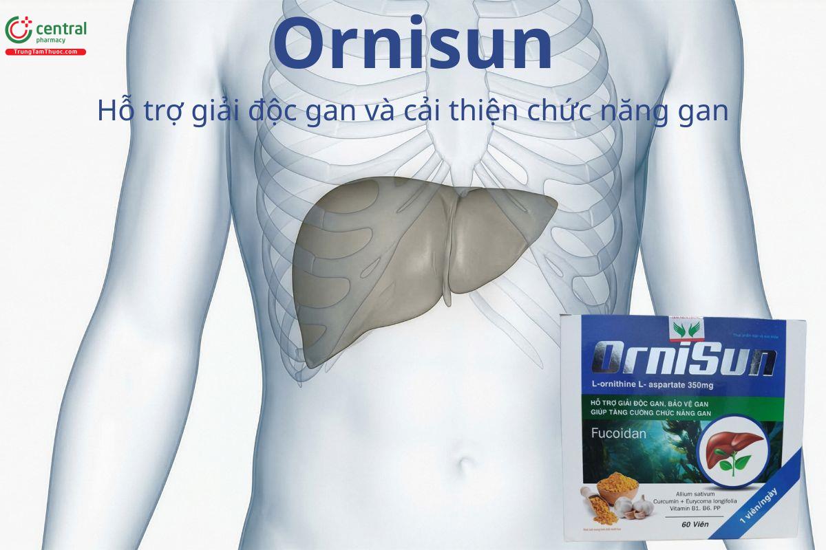 Ornisun hỗ trợ giải độc gan và cải thiện chức năng gan