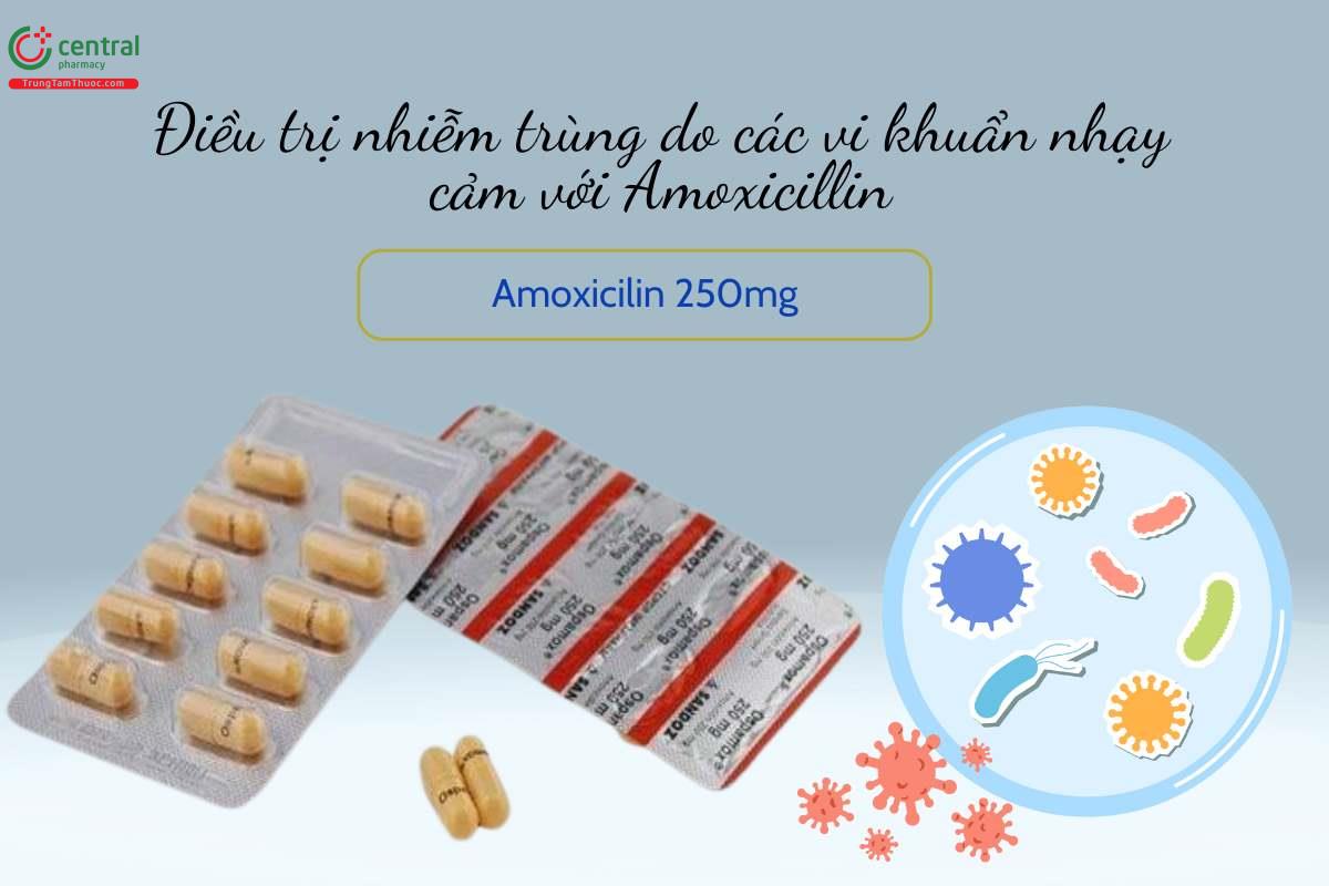 Chỉ định thuốc Ospamox 250mg 