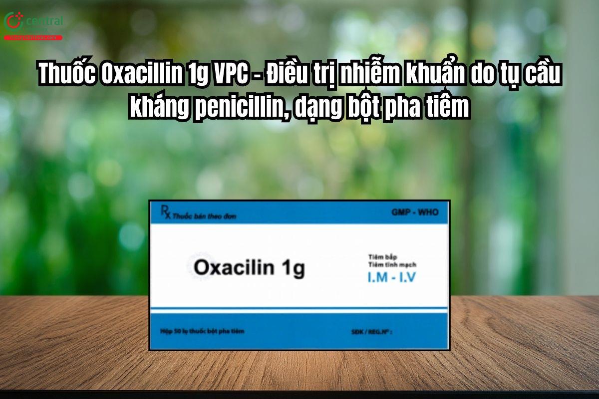Thuốc Oxacillin 1g VPC – Điều trị nhiễm khuẩn do tụ cầu kháng penicillin