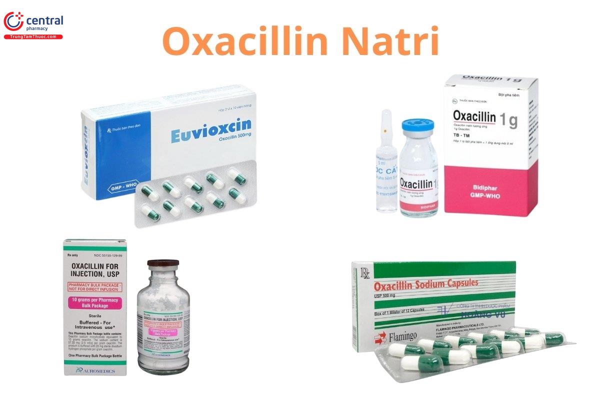 Oxacillin Natri