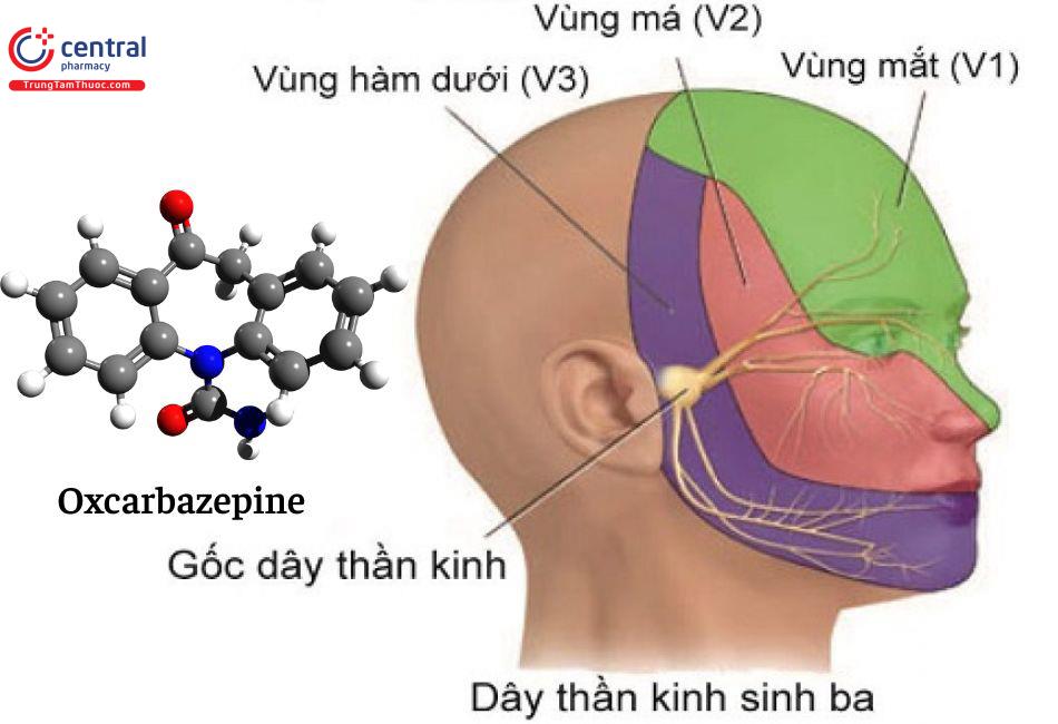 Oxcarbazepine điều trị đau thần kinh