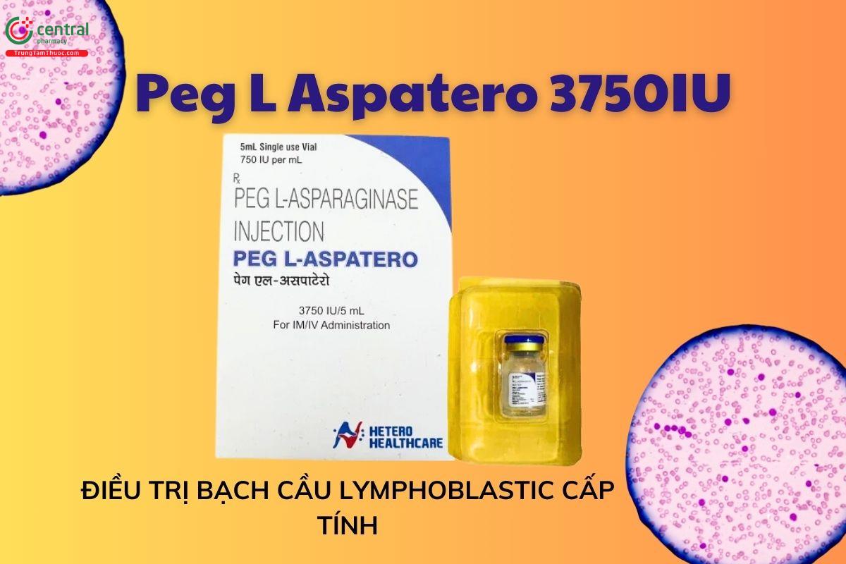 Thuốc Peg L Aspatero 3750IU