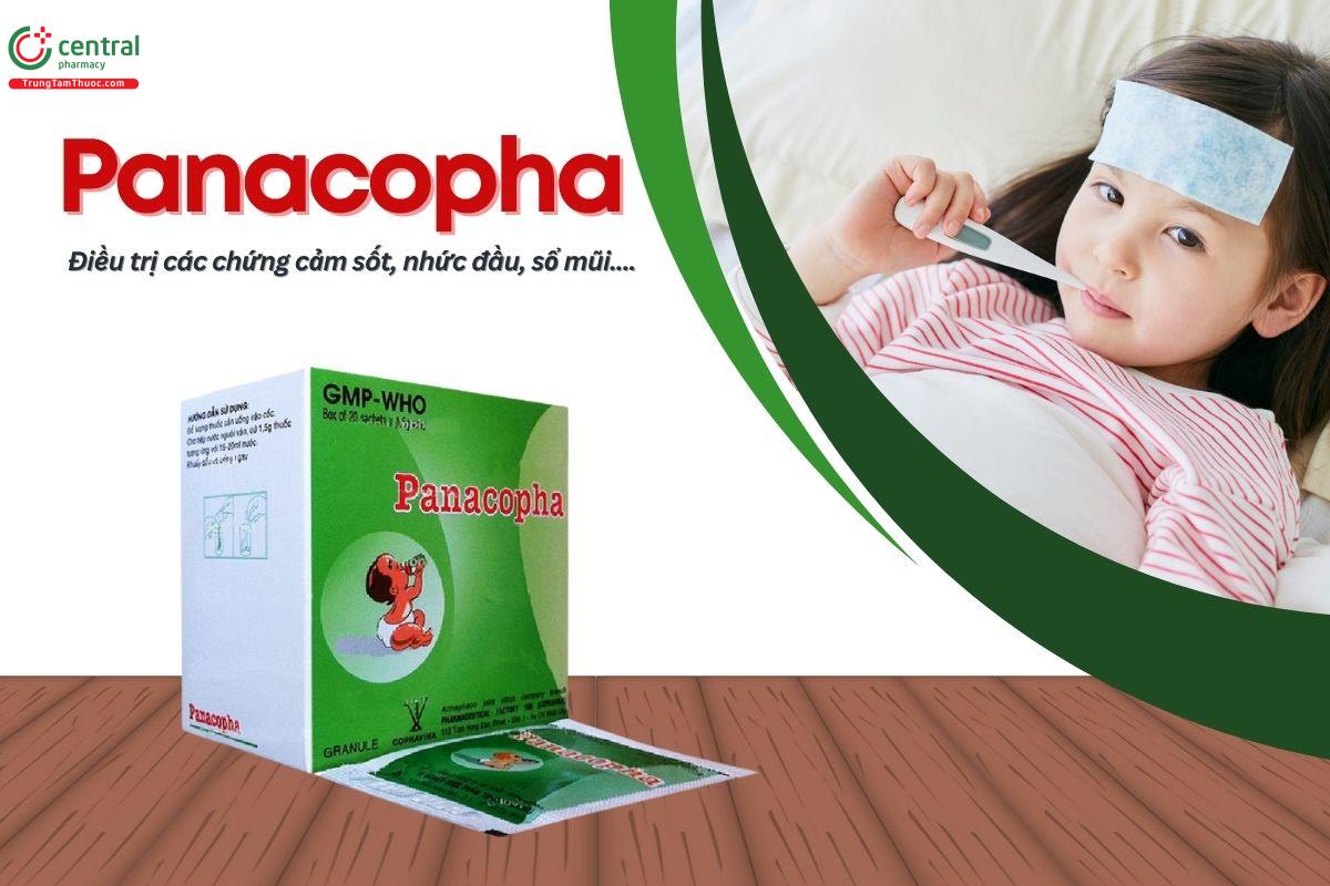 Thuốc Panacopha Armephaco trị các chứng cảm sốt, nhức đầu, sổ mũi