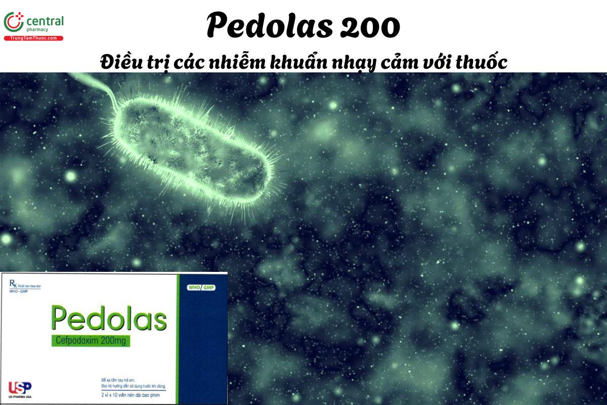 Thuốc Pedolas 200 - Điều trị các nhiễm khuẩn nhạy cảm với thuốc gây ra