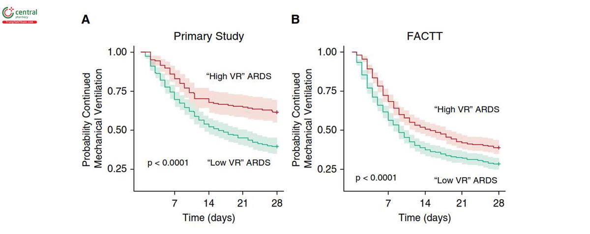 Hình 4. Xác suất thở không cần máy thở đến 28 ngày ở nhóm đối tượng mắc hội chứng nguy kịch hô hấp cấp tính (ARDS) theo phân loại tỷ lệ thông khí (VR); bệnh nhân mắc ARDS có VR thấp có VR <2 và bệnh nhân mắc ARDS có VR cao có VR ≥ 2. (A) Dữ liệu từ tập dữ liệu chính. (B) Dữ liệu từ bộ dữ liệu FACTT. Giá trị P biểu thị thử nghiệm nguy cơ theo tỷ lệ Cox so sánh ARDS VR thấp và ARDS VR cao. FACTT = Thử nghiệm điều trị bằng dịch truyền và ống thông.