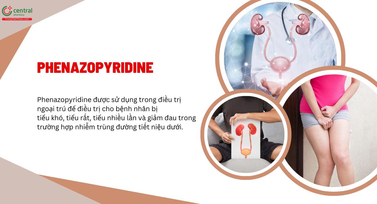 Chỉ định của Phenazopyridine