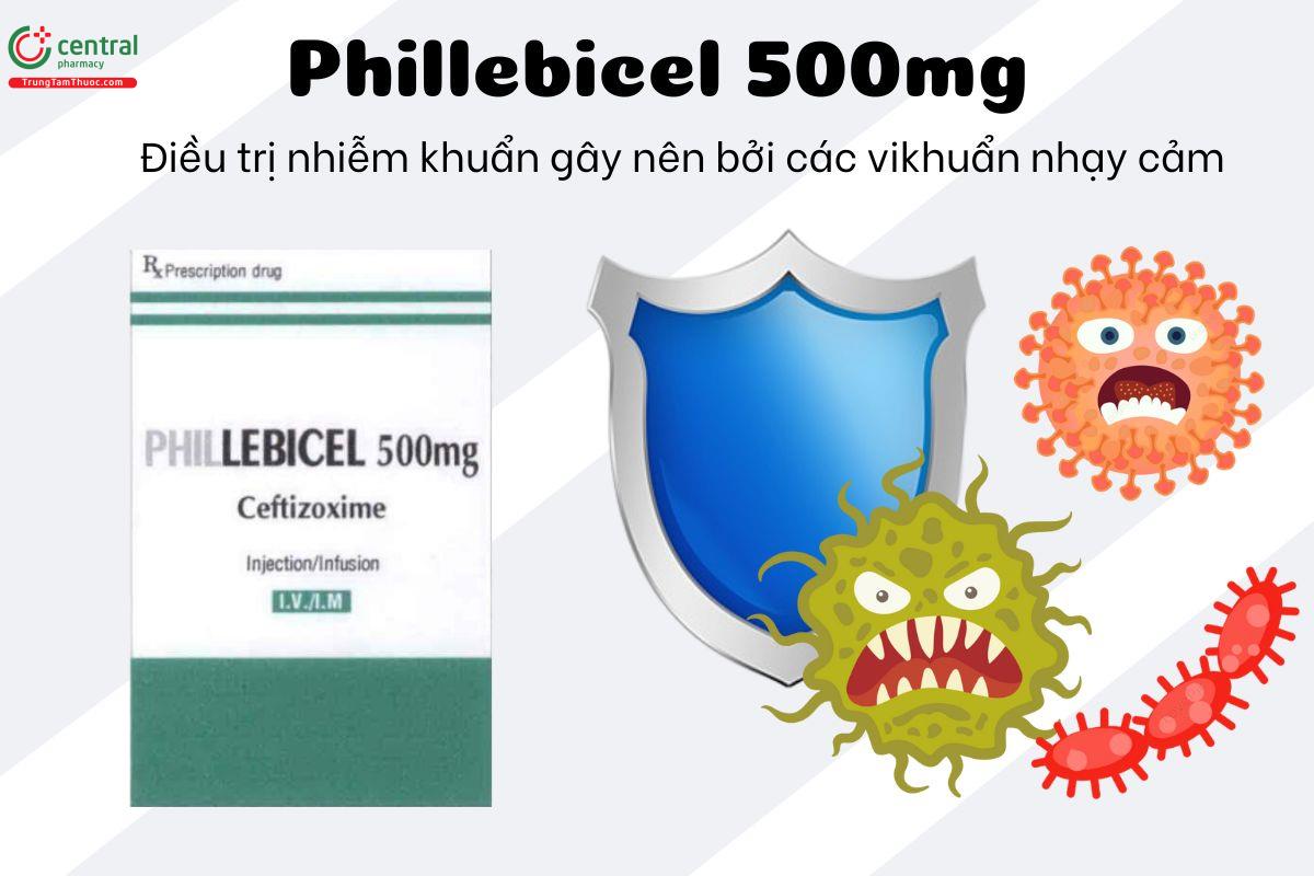 Thuốc Phillebicel 500mg - Điều trị nhiễm khuẩn do vi khuẩn nhạy cảm gây ra