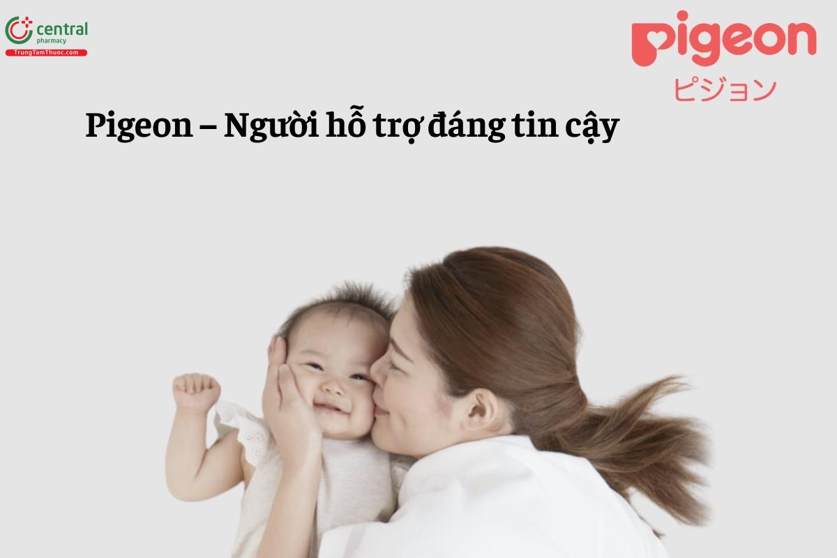 Pigeon