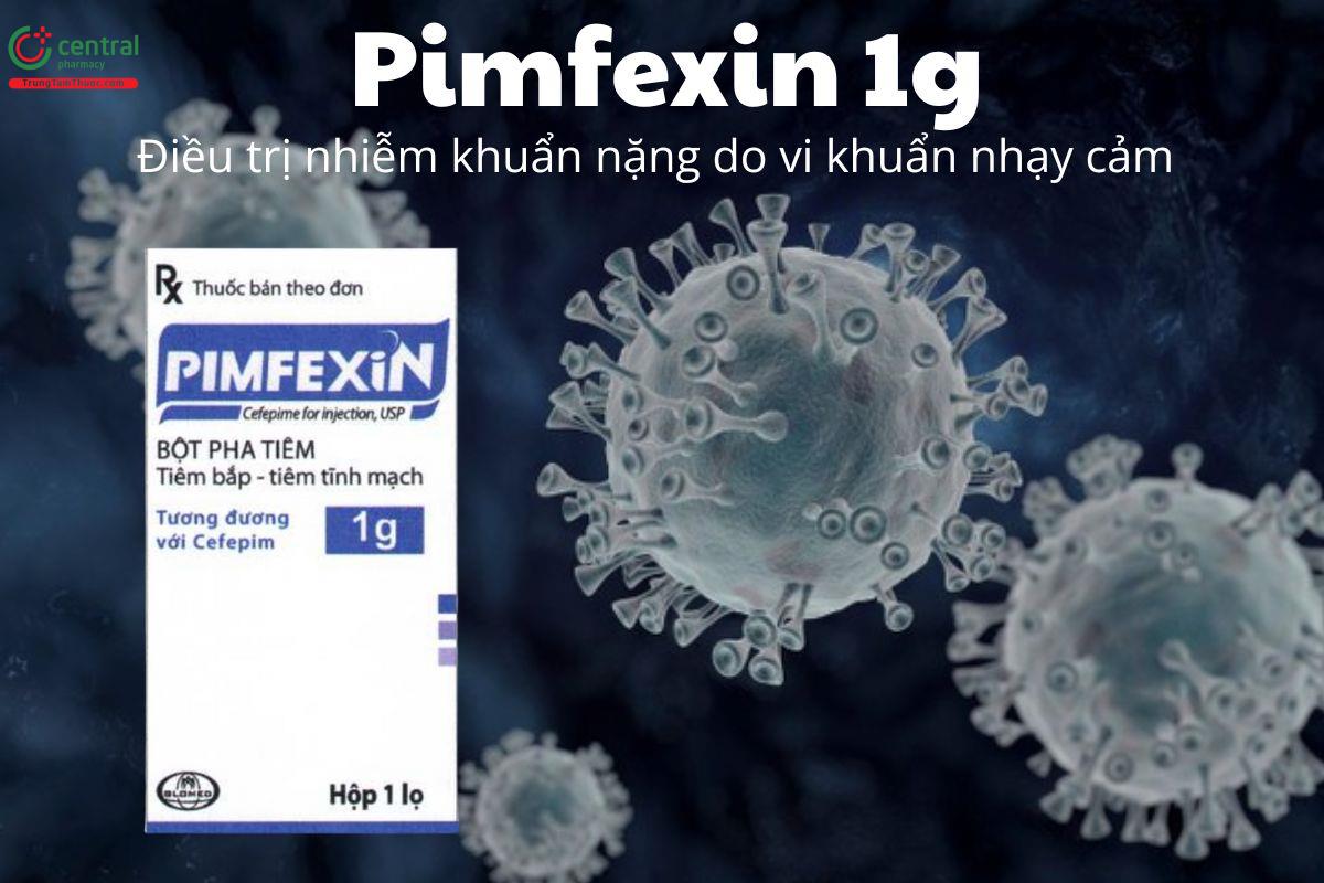 Thuốc Pimfexin 1g - Điều trị nhiễm khuẩn nặng do vi khuẩn nhạy cảm