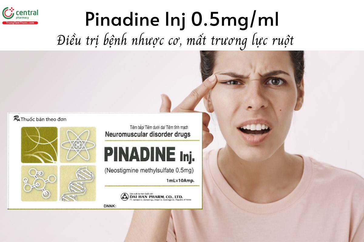 Thuốc Pinadine Inj 0.5mg/ml - Điều trị bệnh nhược cơ, mất trương lực ruột