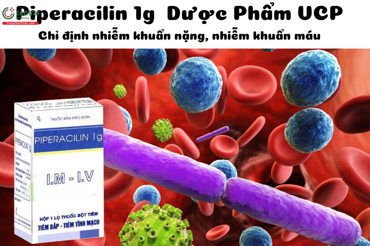 Thuốc Piperacilin 1g Dược Phẩm VCP điều trị các nhiễm khuẩn máu, nặng