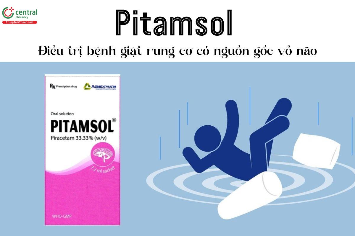 Thuốc Pitamsol 33.33% - Điều trị bệnh giật rung cơ có nguồn gốc vỏ não