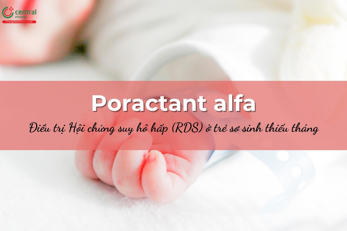 Poractant alfa (Curosurf) - chất hoạt động bề mặt phổi điều trị suy hô hấp