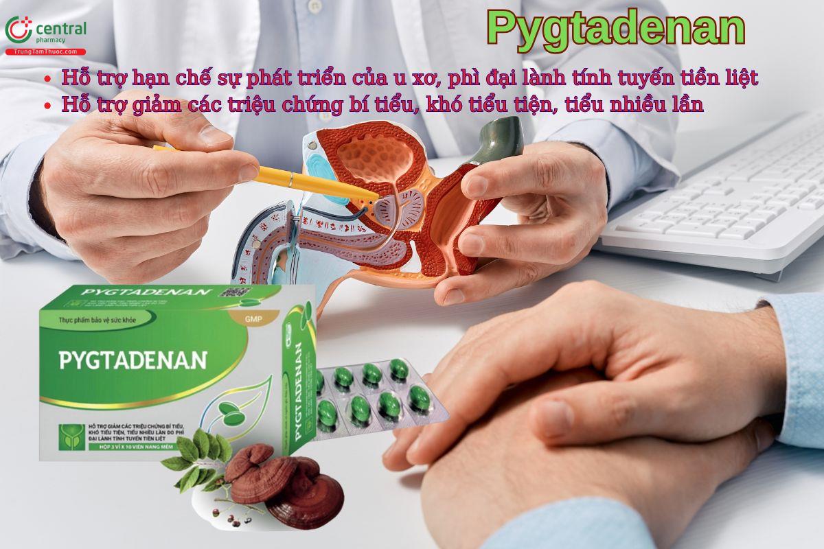Viên uống Pygtadenan giúp hỗ trợ hạn chế sự phát triển của u xơ, phì đại lành tính tuyến tiền liệt