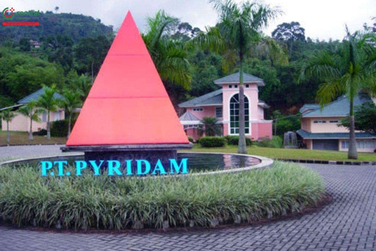 Trụ sở của PT Pyridam Farma Tbk