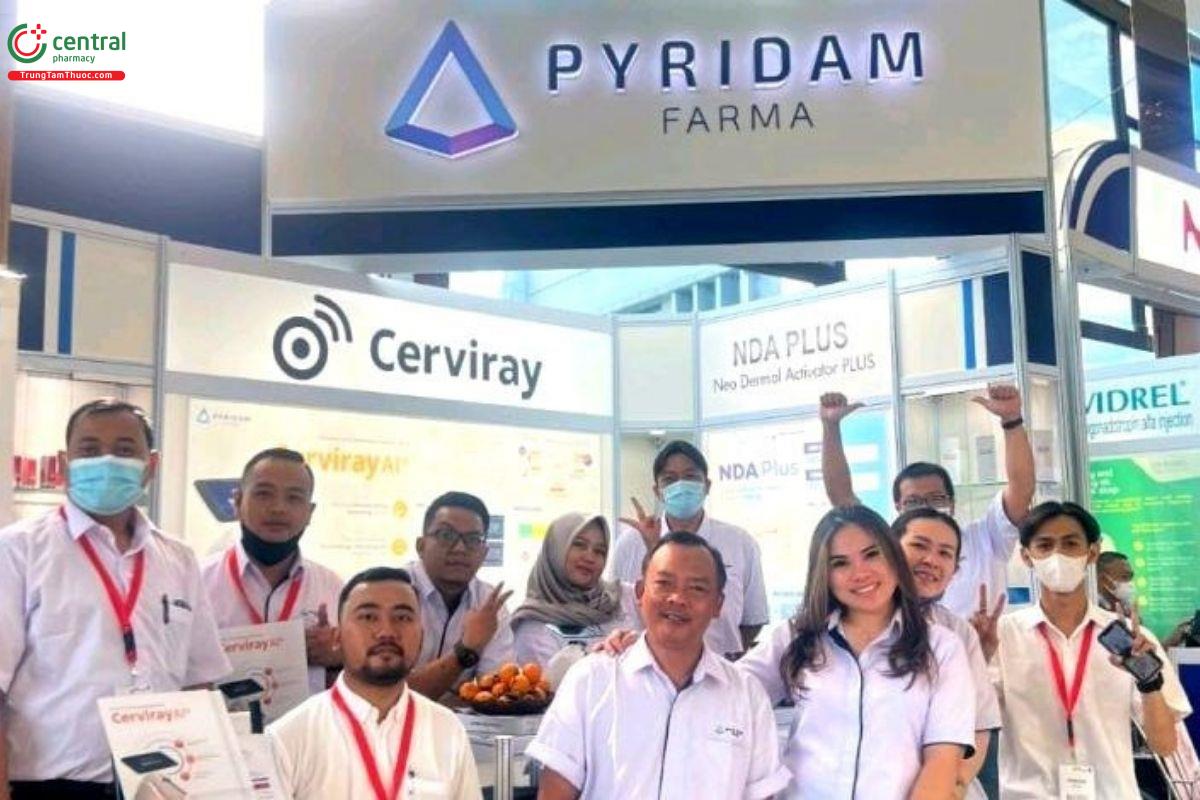 Môi trường làm việc tại Pyridam được xây dựng trên nền tảng bình đẳng, không phân biệt giới tính, tôn giáo, chủng tộc, hay tình trạng thể chất