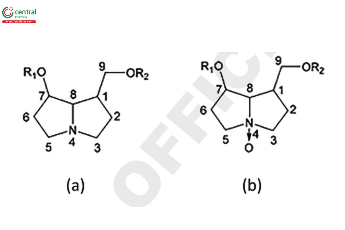 Figure 1. General structure of a) PA molecule and b) PANO molecule. R₁ and R₂ are hydrogens or necic acids.