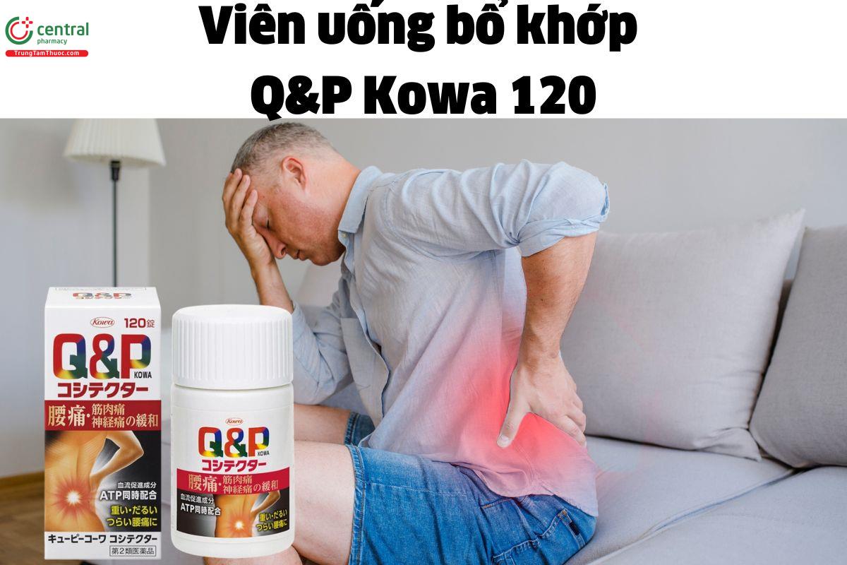 Viên uống bổ khớp Q&P Kowa 120 - Giảm các triệu chứng đau khớp